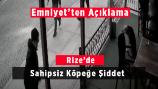 Rize'de Sahipsiz Köpeğe Şiddet: Emniyet'ten Açıklama