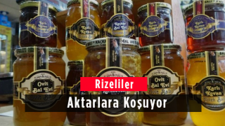 Rizeliler Aktarlara Koşuyor