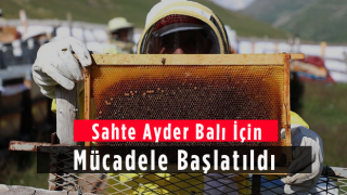 Sahte Ayder Balı İçin Mücadele Başlatıldı