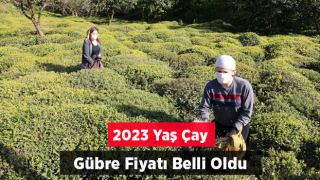 2023 YAŞ ÇAY GÜBRE FİYATI BELLİ OLDU