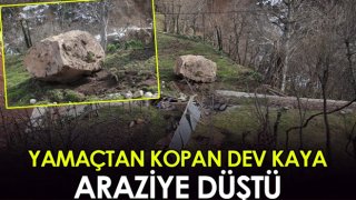 Artvin'de yamaçtan kopan dev kaya tarım arazisine düştü!