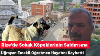 KÖPEKLERİN SALDIRISINA UĞRAYAN EMEKLİ ÖĞRETMEN HAYATINI KAYBETTİ