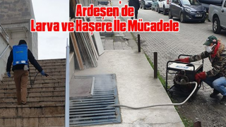 Ardeşen’de Larva ve Haşere İle Mücadele