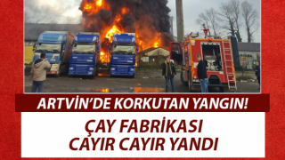 Artvin'de ÇAYKUR Fabrikası’nda Yangın