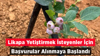 Likapa yetiştirmek isteyenler için başvurular başladı, İşte şartlar