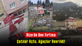 RİZE'DE FIRTINA: ÇATILAR UÇTU, AĞAÇLAR DEVRİLDİ