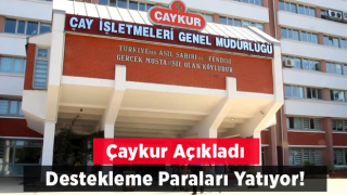 ÇAYKUR Destekleme Paraları Ödeniyor