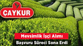 ÇAYKUR Mevsimlik İşçi Alımı Başvuruları Sona Erdi