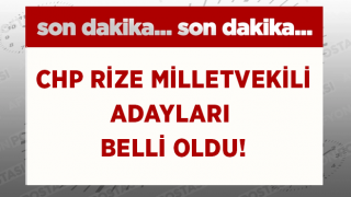 CHP MİLLETVEKİLİ ADAYLARI BELLİ OLDU