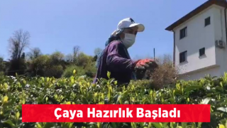 Doğu Karadeniz’de 2023 Yılı Yaş Çay Sezonu Hazırlıkları Başladı