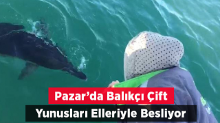 Yunusları Elleriyle Besliyorlar