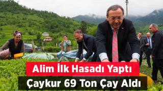 ÇAYKUR Genel Müdürü Alim İlk Çay Hasadını Kemalpaşa'da Yaptı. ÇAYKUR İlk Gün 69 Ton Yaş Çay Aldı