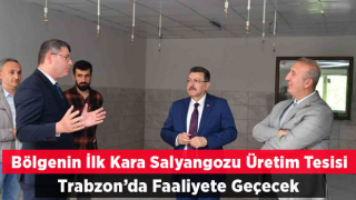 Karadeniz Bölgesi’nin İlk Kara Salyangozu Üretim Tesisi Yakında Trabzon’da Faaliyete Geçecek