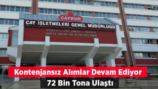 Kontenjansız Alımlarını Sürdüren ÇAYKUR 72 Bin Tona Ulaştı