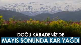 Mayıs ayının sonuna doğru kar yağdı!