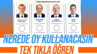 Nerede oy kullanacağım? Seçmen kaydı nasıl sorgulanır? Seçmen kaydı sorgulama ekranıyla seçim yerleri öğrenilebiliyor