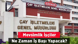 Rize'de Mevsimlik İşçiler Ne Zaman İş Başı Yapacak ?