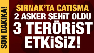 Şırnak'ta operasyon: 2 jandarma şehit oldu, 3 terörist etkisiz hale getirildi