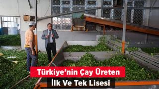 Türkiye'nin çay üreten ilk ve tek meslek lisesi Rize’de!