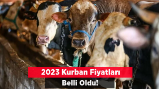 Vatandaşlar merakla bekliyordu! 2023 yılı kurban fiyatları