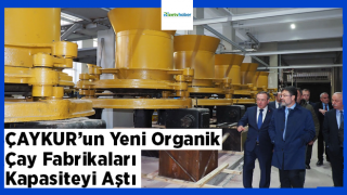 ÇAYKUR’un Yeni Organik Çay Fabrikaları Kapasiteyi Aştı