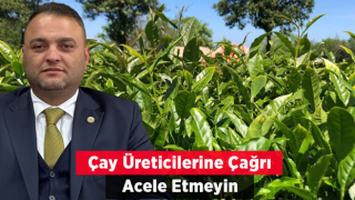 Rize’de Hava Şartlarının Olumsuz Etkilediği Çay Hasadında Ziraat Odası’ndan Üreticilere "acele Etmeyin" Uyarısı