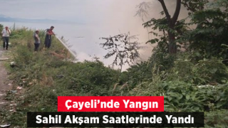 Çalılık alanda yangın çıktı