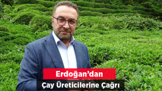 Çay Üreticilerine ‘beyaz Çay’ İçin "çay Tomurcuğu Toplayın" Çağrısı