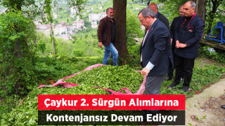 ÇAYKUR, 2. Sürgün Alımlarını Kontenjansız Sürdürüyor