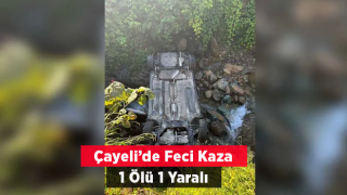 Otomobil Köprüden Düştü: 1 Ölü, 1 Yaralı