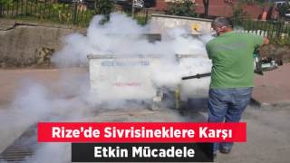 Rize'de sivrisineklere karşı etkin mücadele yapılıyor