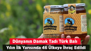 Türk balı yılın ilk yarısında 46 ülkeye ihraç edildi