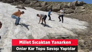 Yaz ayında kar topu oynadılar