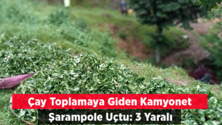 Çay toplamaya gidenleri taşıyan kamyonet şarampole uçtu: 3 yaralı