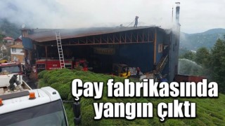 Rize’de çay fabrikasında yangın çıktı