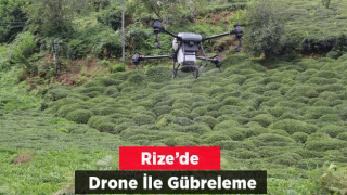 Rize’de Dron ile çay gübreleme uygulaması denendi