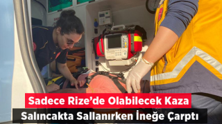 Rize'de salıncakta sallanırken ineğe çarpan kişi baygınlık geçirdi