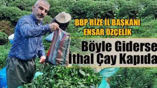 BBP Rize İl Başkanı Özçelik 'Böyle Giderse İthal Çay Kapıda'