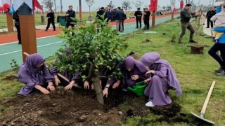 Rize'de fidanlar toprakla buluştu