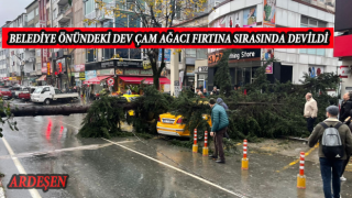 BELEDİYE ÖNÜNDEKİ DEV ÇAM AĞACI ŞİDDETLİ FIRTINA SIRASINDA DEVRİLDİ