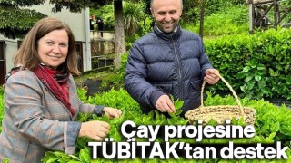 Çay projesine TÜBİTAK’tan destek