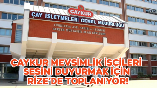 ÇAYKUR Mevsimlik İşçileri Sesini Duyurmak İçin Rize’de Toplanıyor!