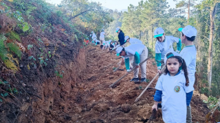 Doğu Karadeniz’in 625 bin hektarlık ormanına 3 milyon ağaç takviyesi