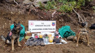 Giresun'da terör örgütü tarafından kullanılan sığınak bulundu