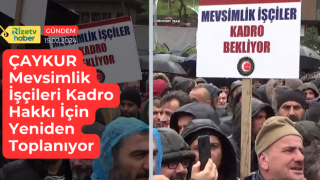 ÇAYKUR Mevsimlik İşçileri Kadro Hakkı İçin Yeniden Toplanıyor