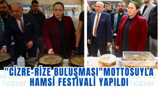 "Cizre-Rize buluşması"mottosuyla hamsi festivali yapıldı