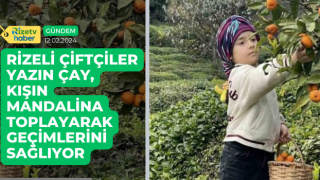 Rizeli Çiftçiler Yazın Çay, Kışın Mandalina Toplayarak Geçimlerini Sağlıyor