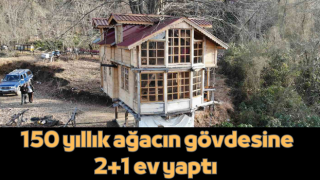 150 yıllık ağacın gövdesine 2+1 ev yaptı