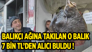 Balıkçı Ağına Takılan 7 Kg Kalkan Balığı 7 Bin Tl’den Alıcı Bulundu