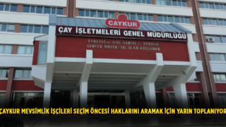 ÇAYKUR Mevsimlik İşçileri Seçim Öncesi Haklarını Aramak İçin Bugün Toplanıyor